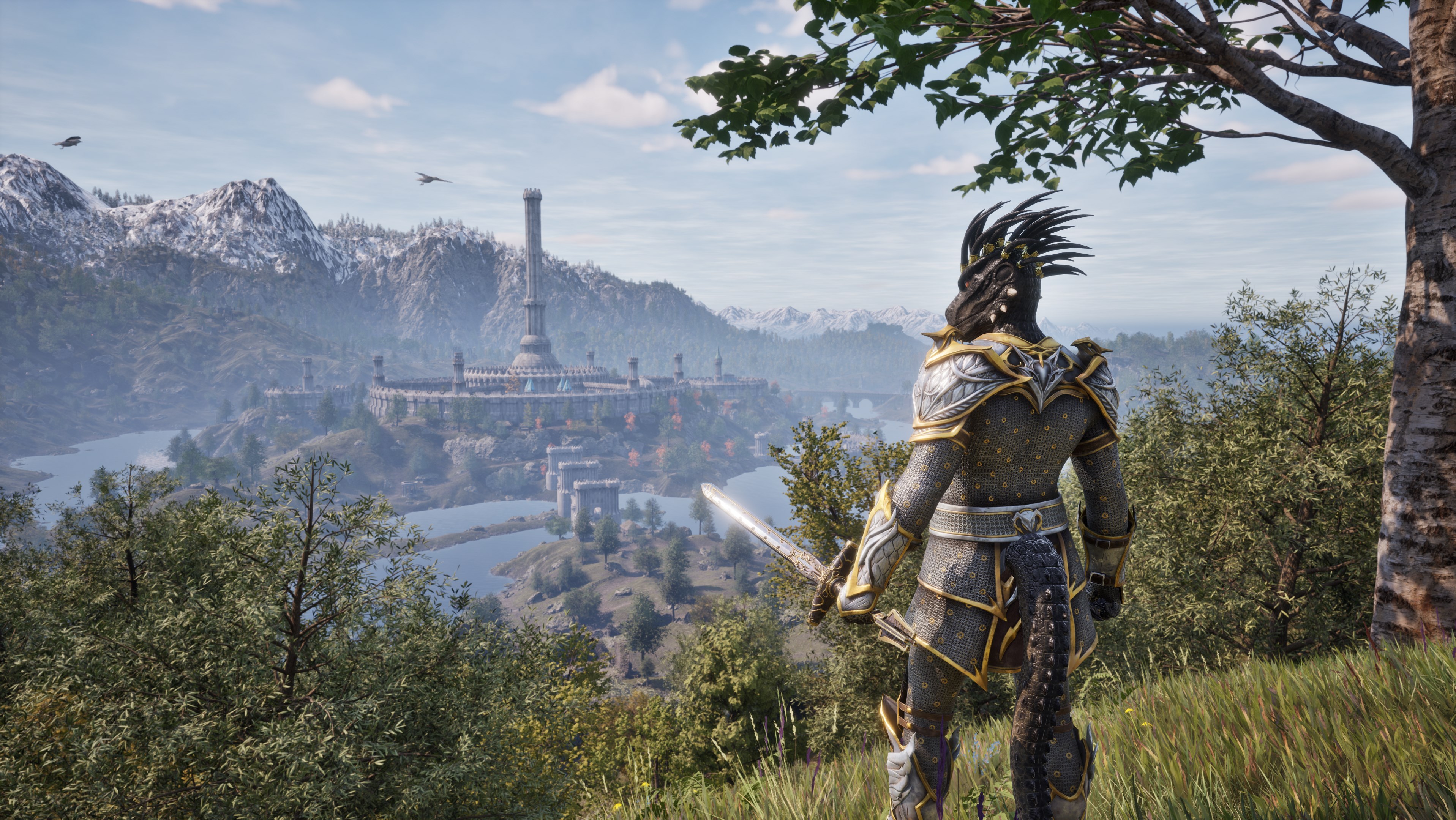 Oblivion Remastered: lo shadowdrop ha danneggiato gli studi indie