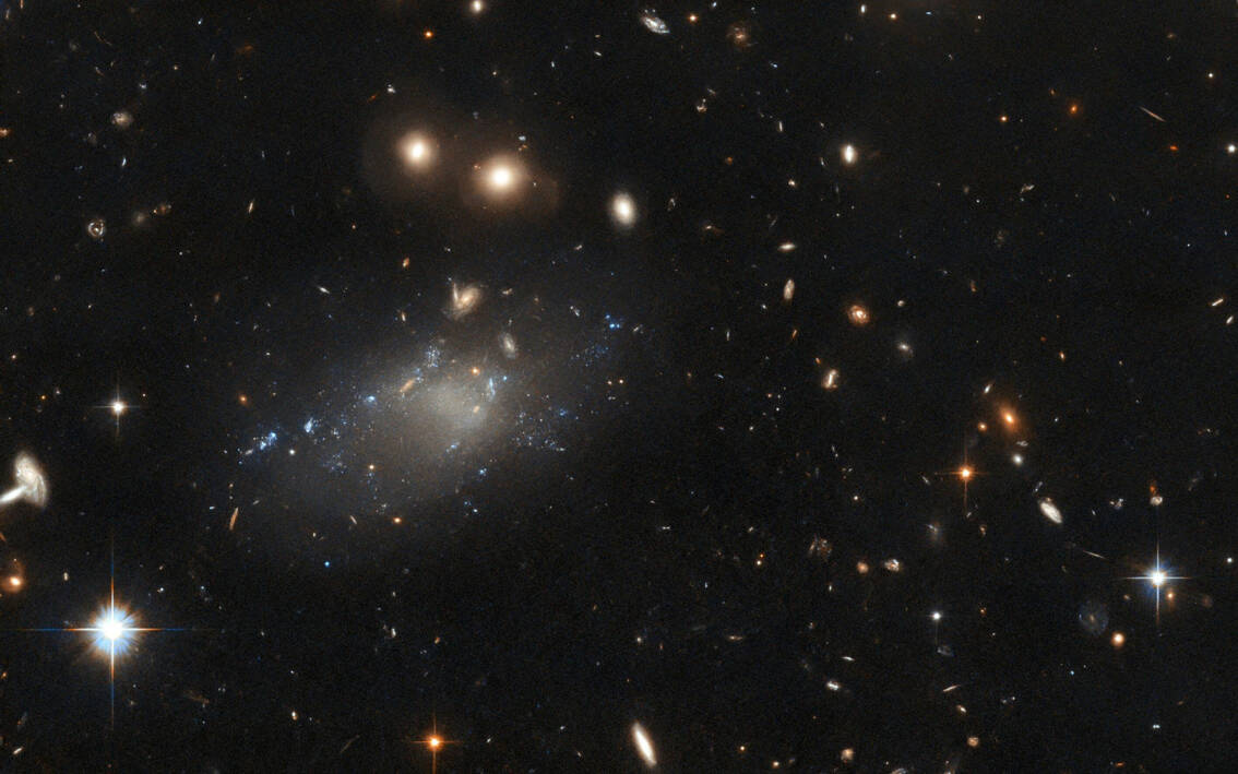 Hubble cattura le immagini di una galassia “ultra diffusa” Tom's Hardware